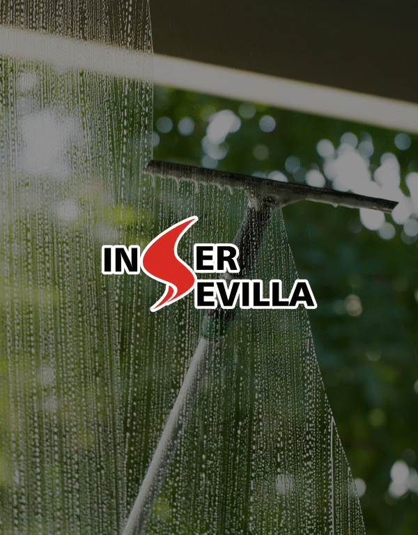 Captura del proyecto Inser Sevilla — diseño web en Sevilla por JC Páginas Web