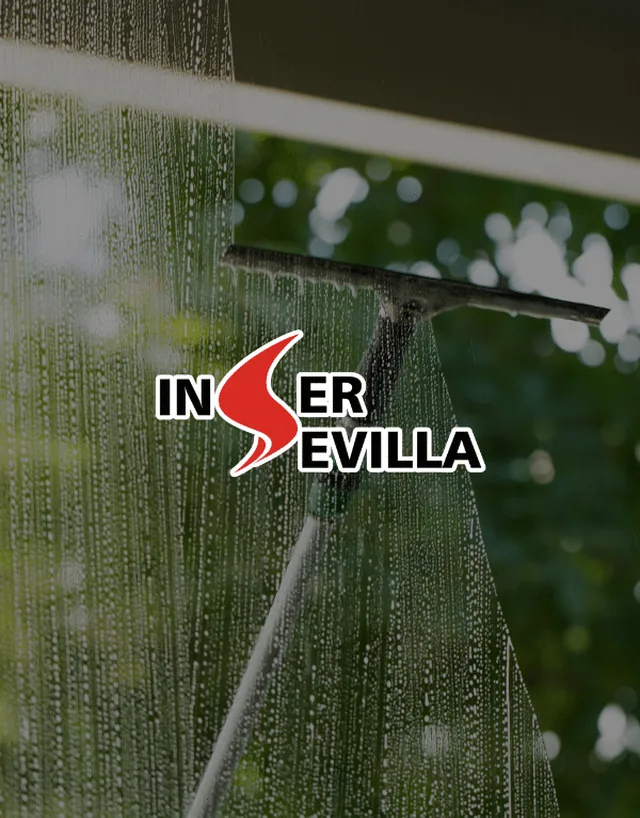 Proyecto Inser Sevilla — diseño web en Sevilla por JC Páginas Web